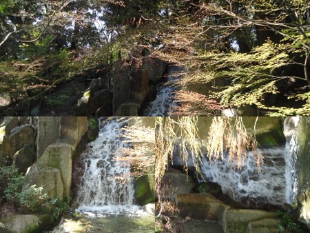 徳川園5