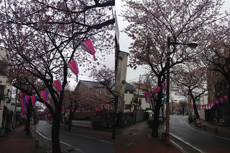 sakurado-ro
