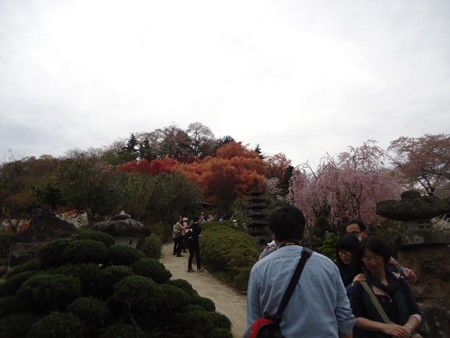 DSC08904