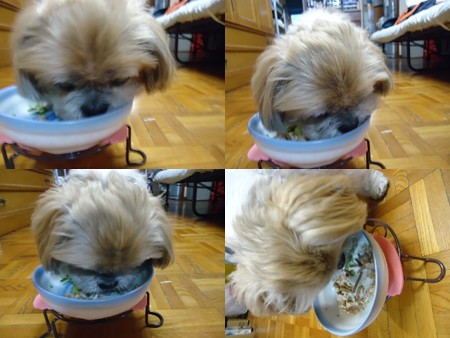 頂き物