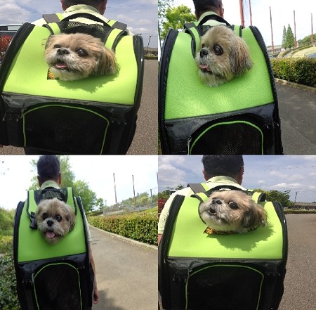 リュックドッグ