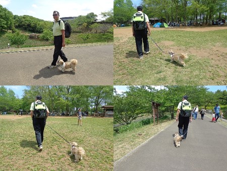四街道総合公園
