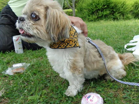 DSC09046