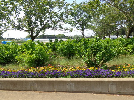 DSC09069