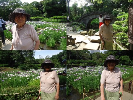 小石川後楽園花菖蒲と母