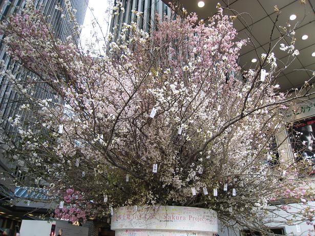 桜生け花詳細 写真共有サイト フォト蔵