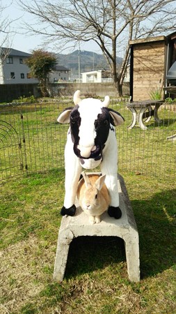 うさぎと牛子