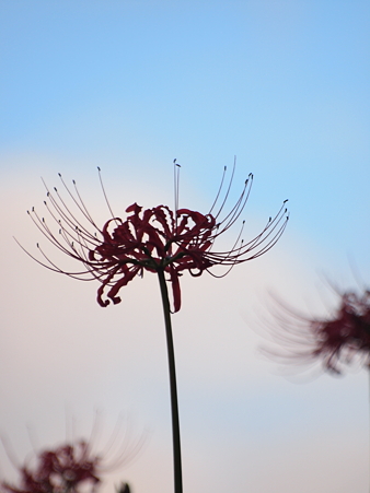 P9252900