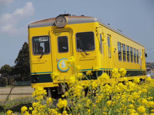 P3228305