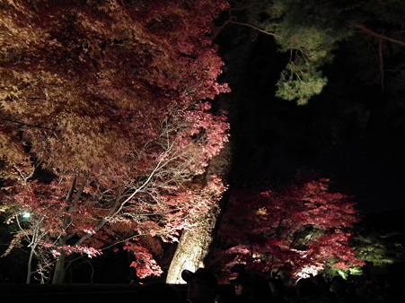 京都 815