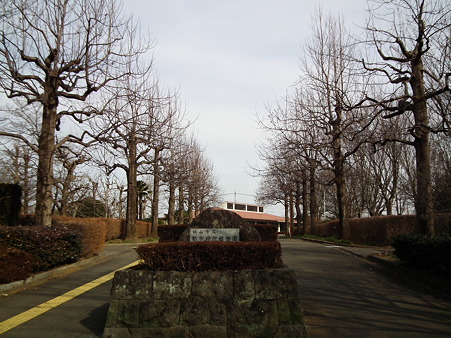 DSCF0025