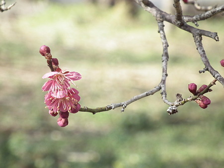 DSCF0095