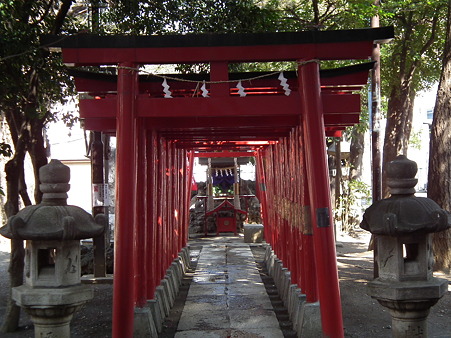DSCF0049
