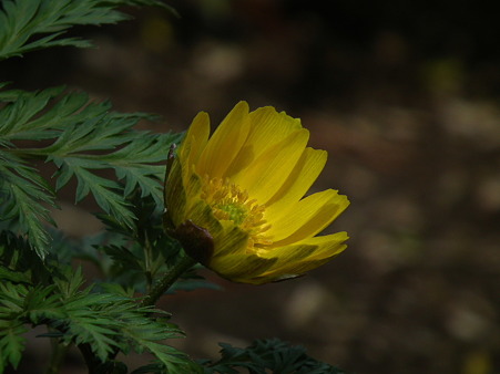 DSCF0024