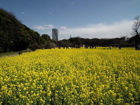 DSCF0165