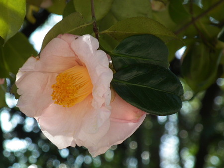 DSCF0094