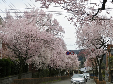 IMGP0086