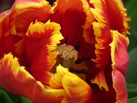 DSCF0409