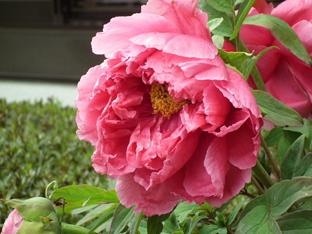 DSCF0400