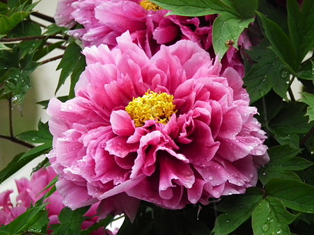 DSCF0040