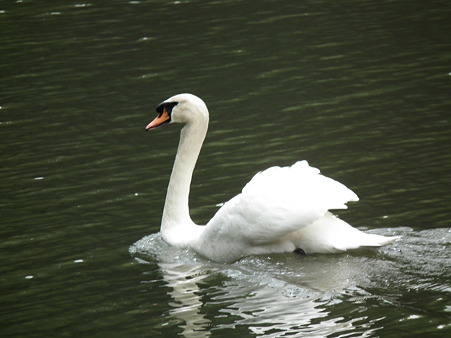 DSCF0253
