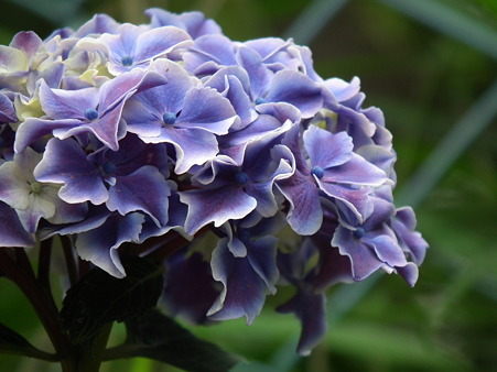DSCF0150