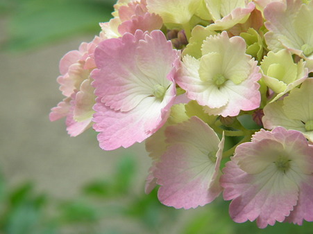 DSCF0298