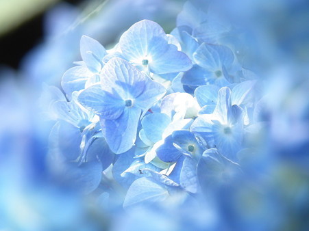DSCF0609