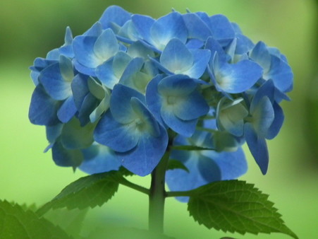 DSCF0357