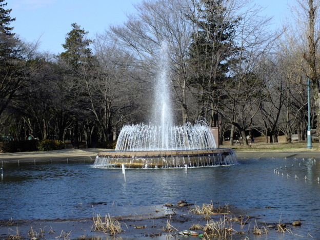 DSCF0308
