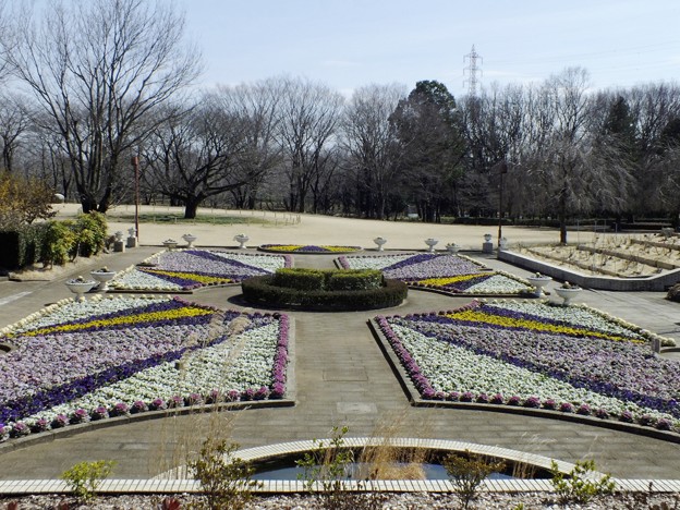 DSCF0242