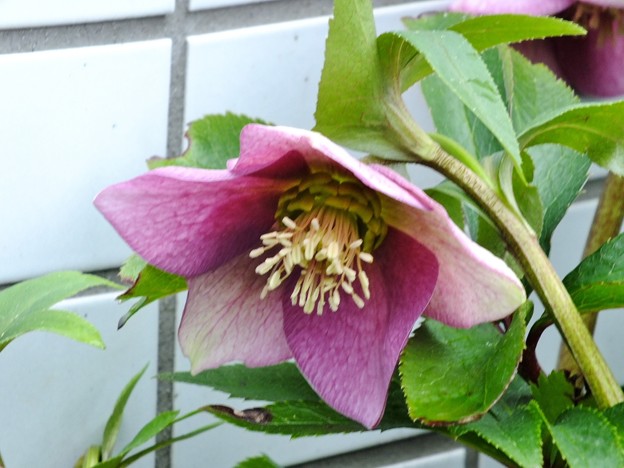 DSCF0057