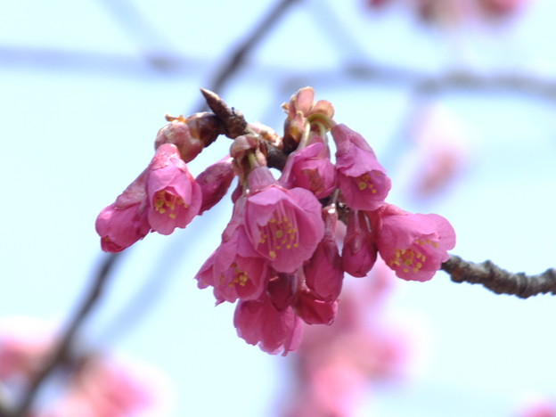 DSCF0237