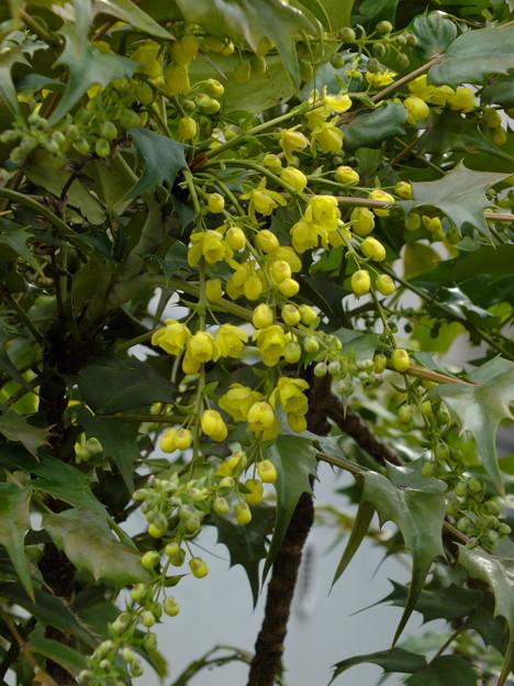 DSCF0422