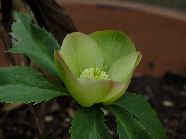 DSCF0061