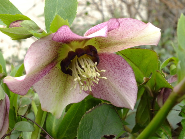 DSCF0377