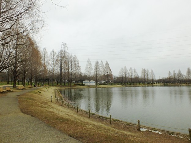 DSCF0288