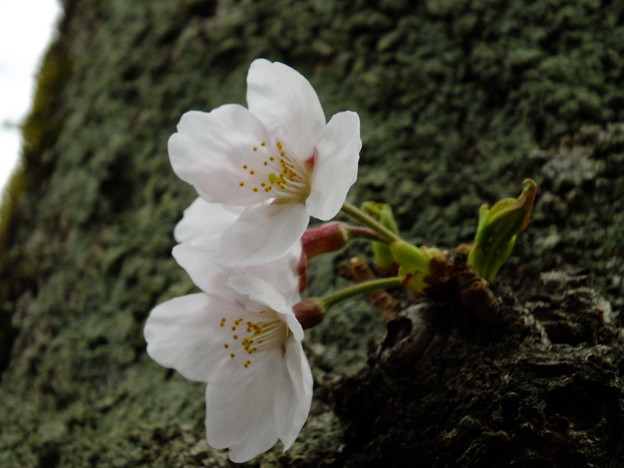 DSCF0013