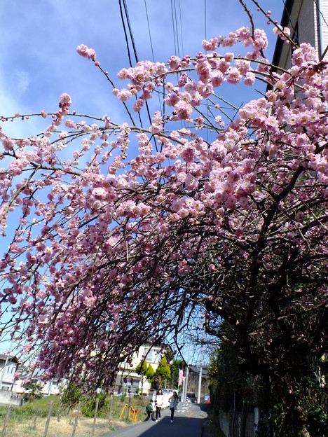 DSCF0043