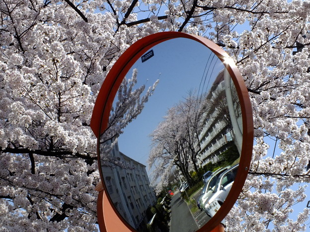 DSCF0410