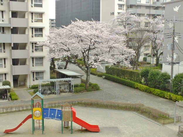 DSCF0001