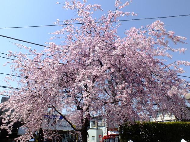 DSCF0284