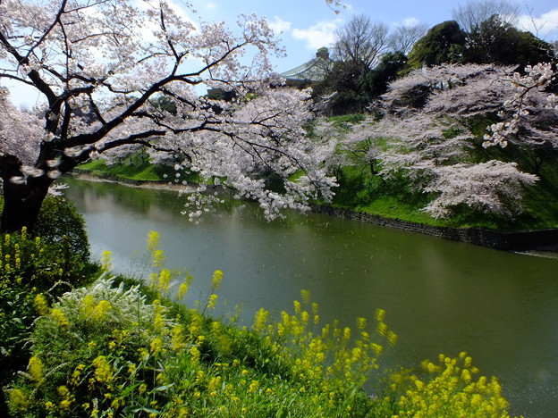 DSCF0008
