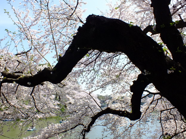 DSCF0341