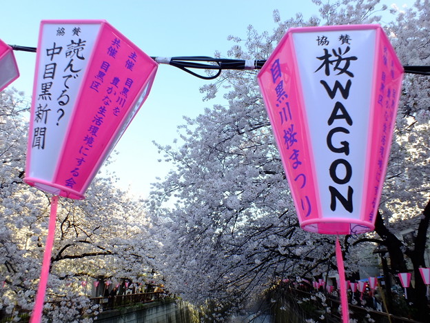 DSCF0678