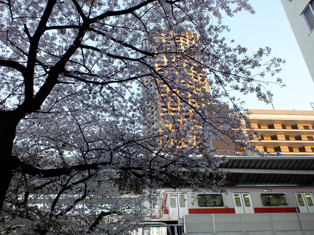 DSCF0830