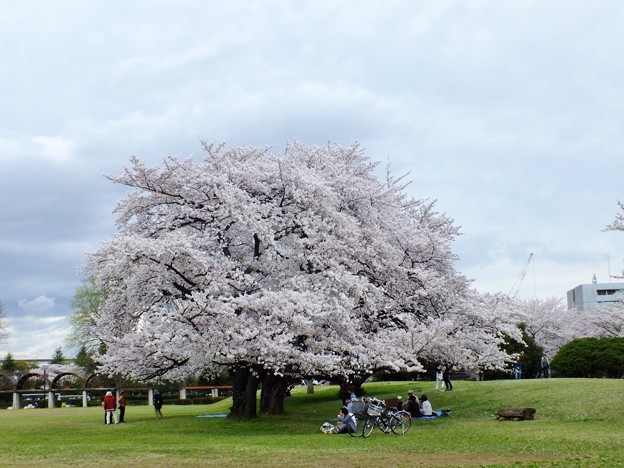 DSCF0042