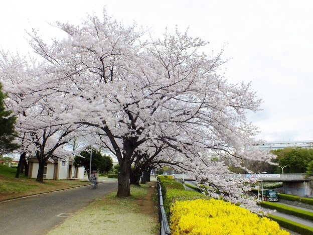 DSCF0115