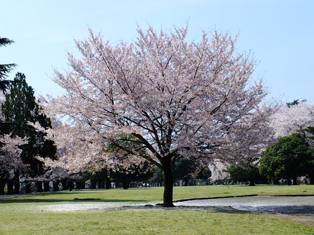 DSCF0052