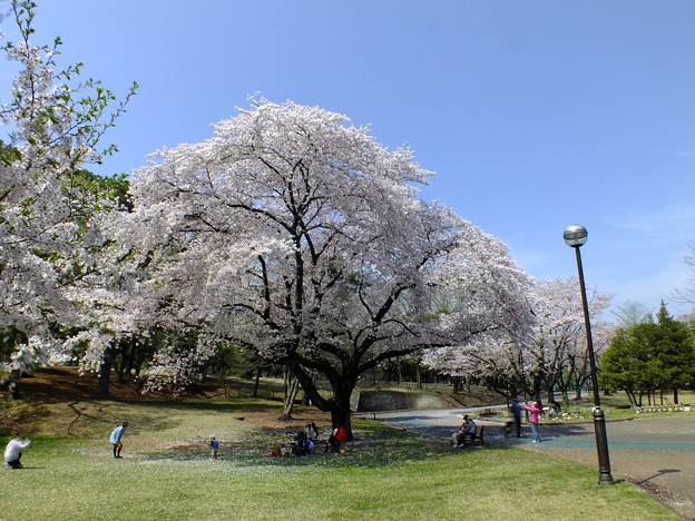 DSCF0117